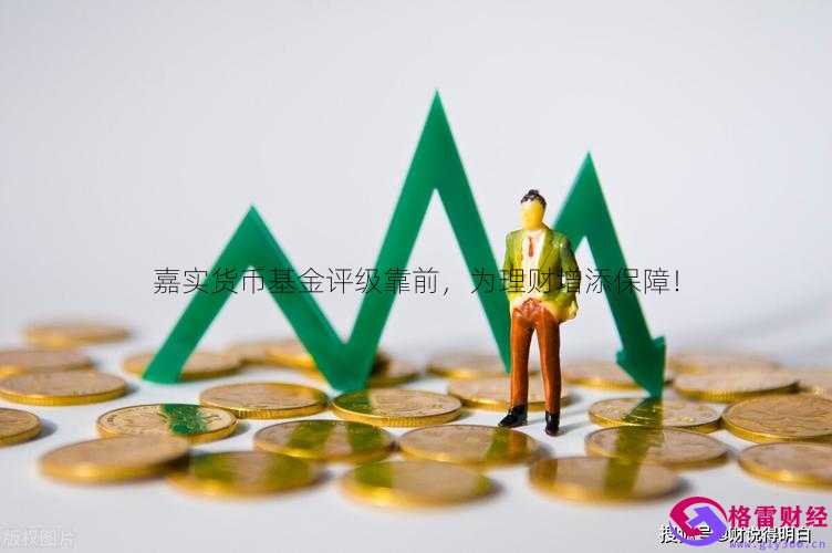 嘉实货币a(嘉实货币A历史净值)