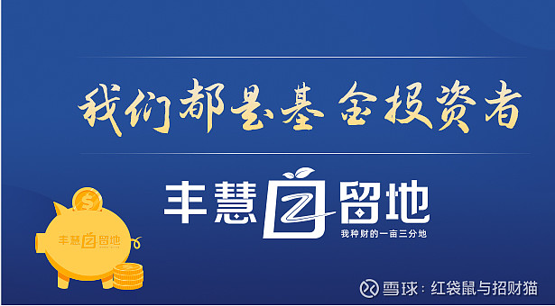 华夏货币a(华夏货币a安全吗)