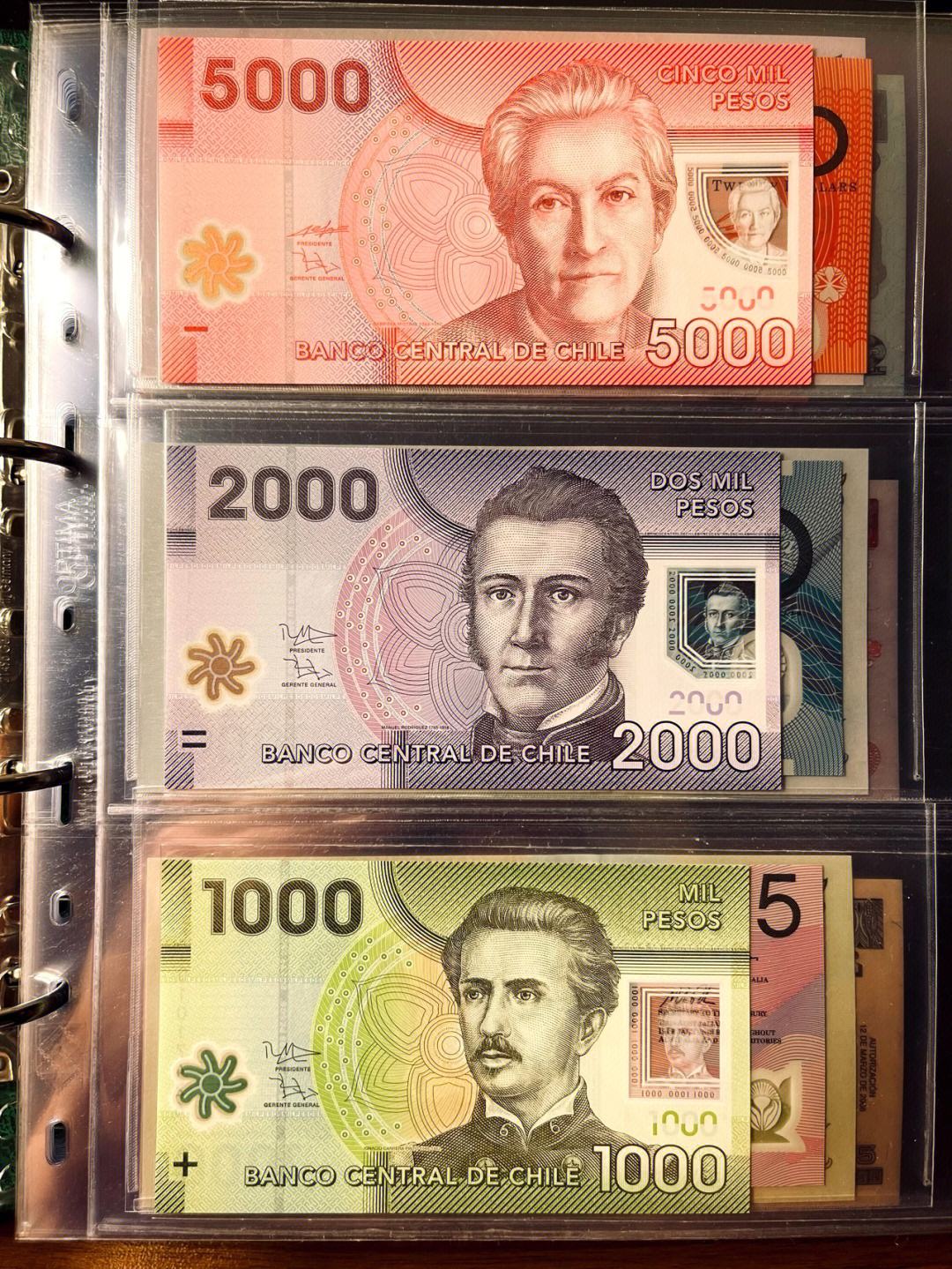 智利货币(智利货币对人民币)